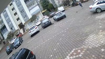 Bursa'da dakikalarca yavru kedilerden kaçtı: Kurtulmak için çantayı bıraktı