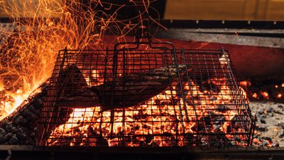 Balıkseverler için cennet: Türkiye'nin zengin denizleri