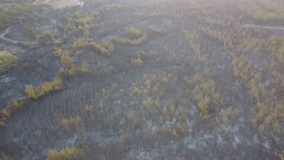 Çanakkale'de yanan alanlar havadan görüntülendi