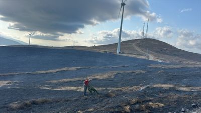 Balıkesir'deki arazi yangını kontrol altında