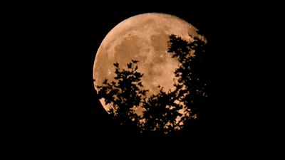 Kaliforniya’da dolunay manzarası görenleri hayran bıraktı