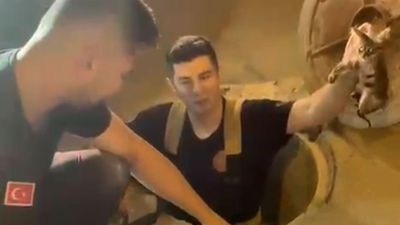 Bursa'da ilginç bir kedi kurtarma operasyonu