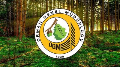 OGM: Bu yıl 5 binden fazla yangınla mücadele edildi
