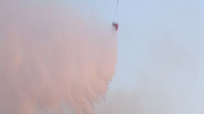 Edirne'de orman yangınına havadan müdahale ediliyor
