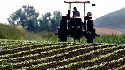 Tarım üreticisinin enflasyonu aylık yüzde 5,66 azaldı