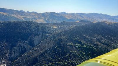 Afyonkarahisar'da çıkan örtü yangını kontrol altına alındı