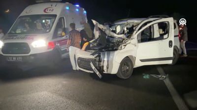 Bingöl'de araç ata çarptı: 1 ölü