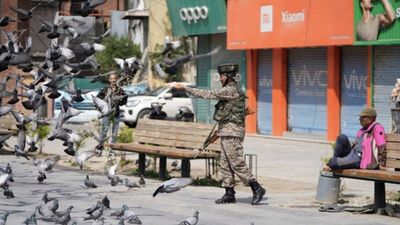 Hindistan'da güvercin beslemek yasaklandı: Sağlık krizi kapıda