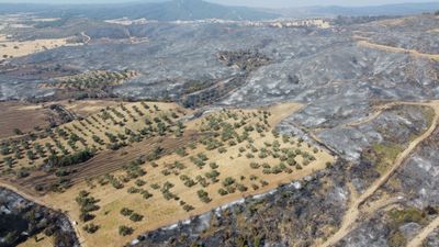 Çanakkale'de kontrol altına alınan yangın bölgesi görüntülendi