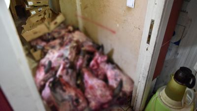 Antalya'da market denetimi: Yumurta paketinden hamam böceği çıktı