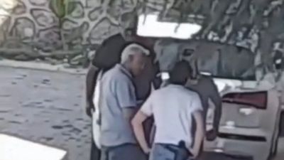 Bursa'da şaman ayini için evinde keçi ve horoz kesti: O anları sosyal medyada paylaştı