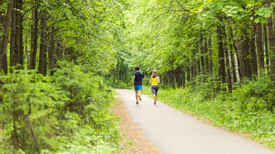 İstanbul'un en iyi 3 doğa yürüyüşü rotası