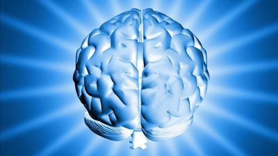 Dünyanın en yüksek IQ'suna sahip ülkeler