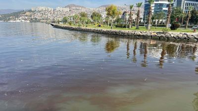 İzmir Körfezi yeniden kötü kokuyor
