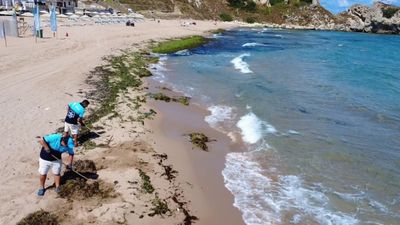 Şile'de rüzgar sonrası kıyıyı yosunlar kapladı