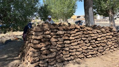 Kars köylerinden eskimeyen gelenek: Tezek mesaisine başlandı