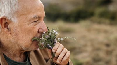Bilim açıkladı: Bu kokular hafızayı güçlendiriyor