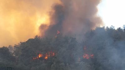 İzmir'de orman yangını çıktı: 8 uçak ve 9 helikopter ile müdahale sürüyor