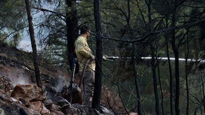 Tokat'ta orman yangını: Kontrol altına alındı