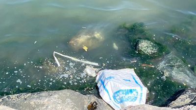 İzmir Körfezi'nin kokusu vatandaşı bezdirdi: İnsan burada durmak istemiyor