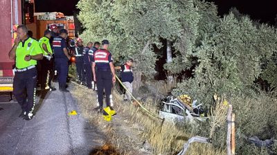 Sokak köpekleri yine cana mal oldu: Çarpmamak için manevra yapan araç kaza yaptı