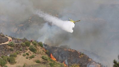 Cezayir’in 7 kentinde orman yangınları