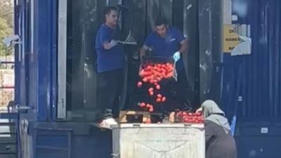 İstanbul'daki zincir market çalışanları onlarca kilo domatesi çöpe döktü