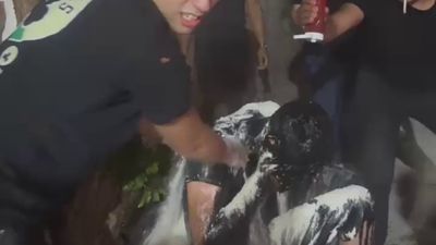 Sakarya'da damadın üzerine yumurta ve ketçap döktüler