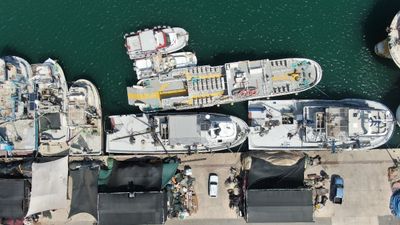 Balıkçılar sezona hüzünlü giriyor: İzmir'de deniz kirliliği balığı vurdu