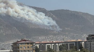 Hatay’da orman yangını