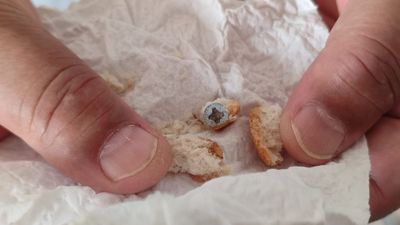 Sinop'ta ekmek skandalı: İçinden vida çıktı