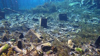 Antalya Körfezi'nde çevre felaketi yakın: Kirlilik gözle görülür hale geldi