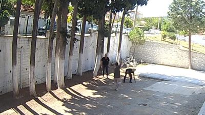 Denizli'de Belediye Başkanı taş döşemek istemeyen zabıtaları sopayla dövdü