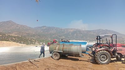 Aydın'da yangın paniği: Vatandaşlar seferber oldu