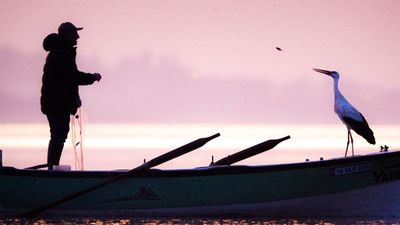 Yaren leylek Eylül'ü beklemeden gitti