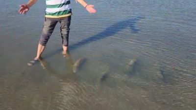 İznik Gölü sahilinde tarihi sütun başlıkları bulundu