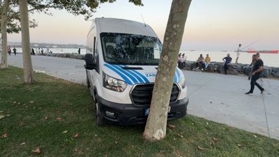 İstanbul'da yanındaki kadını darbetti: Zabıta aracını alarak ağaca çarptı