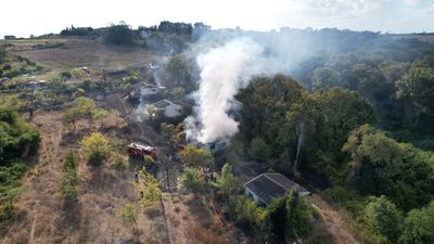 İstanbul'da çayırlık alanda çıkan yangın evlere ve ormana sıçradı