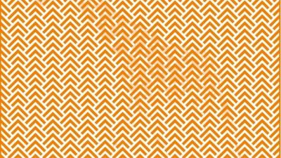 Geri sayım başladı: Zikzak illüzyona odaklanın, gizlenen hayvanı yakalayın...