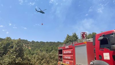 Bingöl'de orman yangını paniği