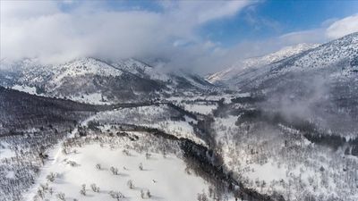 Türkiye’nin biyoçeşitlilik serveti: Doğanın kalbi 9 bölge