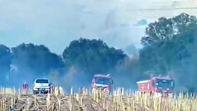 Tekirdağ'da ormana sıçrayan anız yangını 3 saatte kontrol altına alındı