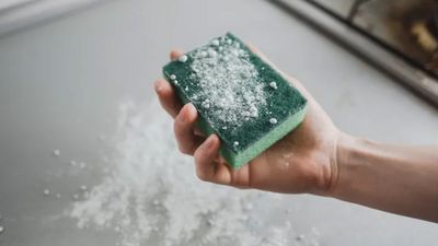 Süngerin üzerine tuz serpin, o etkilerin hepsinden yararlanın