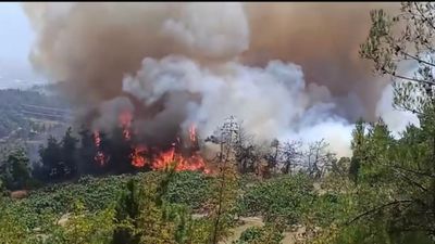 Bursa'daki orman yangını kontrol altına alındı