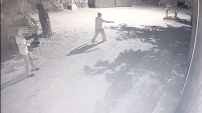 Erzincan'da film sahnelerini aratmayan kovalamaca: Köylüler fenerle ayı kovaladı