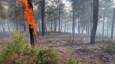 Kütahya’da yıldırım, orman yangını çıkardı: 8 dekar alan zarar gördü
