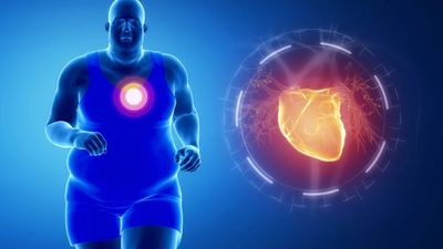 Bilim insanları kalp yetmezliğini yağ hücrelerinden salınan moleküllere bağlıyor