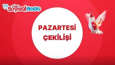 Çılgın Sayısal Loto çekilişi: 8 Eylül 2025 Sayısal Loto çekiliş sonuçları...
