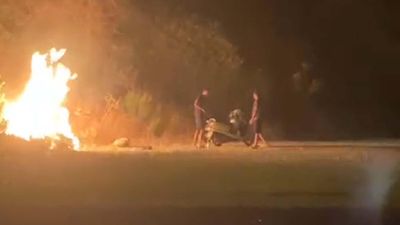 Muğla'da ormanı ateşe verdiler: O anlar kamerada