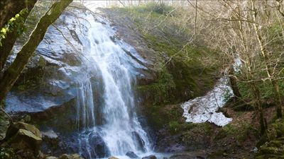 Sakarya'da doğaseverlerin uğrak noktası: Çam Dağı